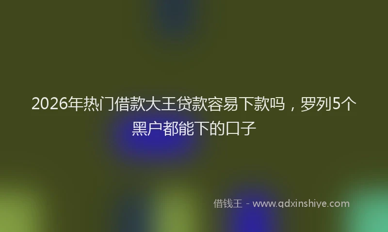 2026年热门借款大王贷款容易下款吗，罗列5个黑户都能下的口子
