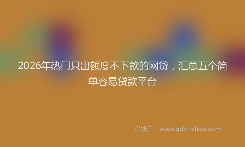 2026年热门只出额度不下款的网贷，汇总五个简单容易贷款平台