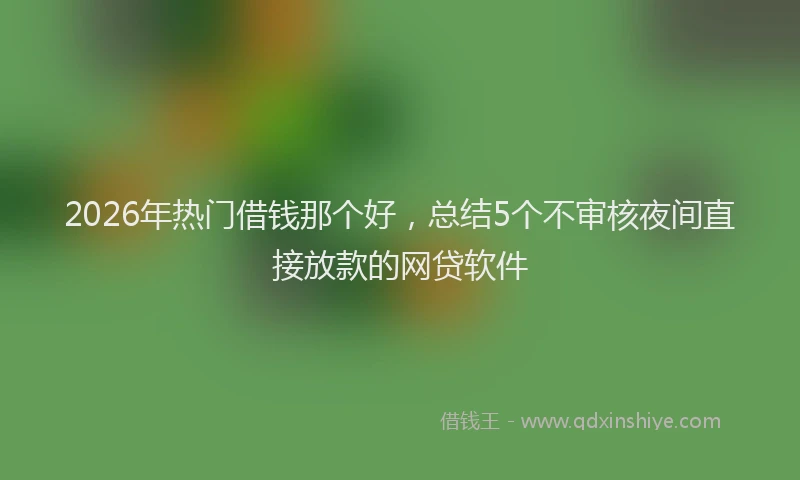 2026年热门借钱那个好，总结5个不审核夜间直接放款的网贷软件