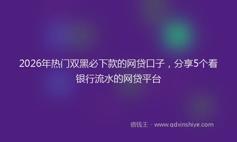 2026年热门双黑必下款的网贷口子，分享5个看银行流水的网贷平台