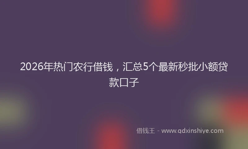 2026年热门农行借钱，汇总5个最新秒批小额贷款口子