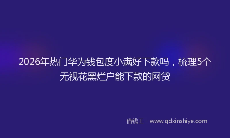 2026年热门华为钱包度小满好下款吗，梳理5个无视花黑烂户能下款的网贷