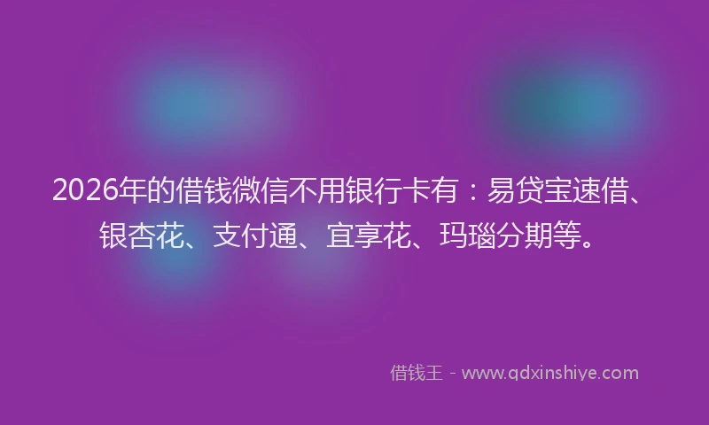 2026年的借钱微信不用银行卡有：易贷宝速借、银杏花、支付通、宜享花、玛瑙分期等。
