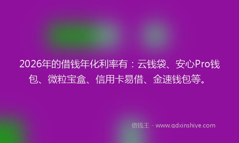 2026年的借钱年化利率有：云钱袋、安心Pro钱包、微粒宝盒、信用卡易借、金速钱包等。