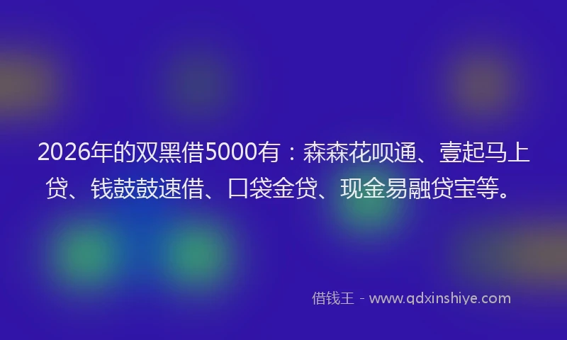 2026年的双黑借5000有：森森花呗通、壹起马上贷、钱鼓鼓速借、口袋金贷、现金易融贷宝等。