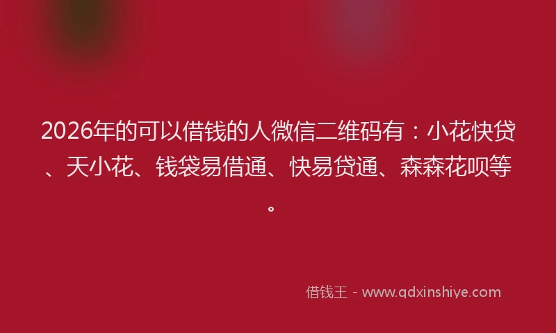 2026年的可以借钱的人微信二维码有：小花快贷、天小花、钱袋易借通、快易贷通、森森花呗等。