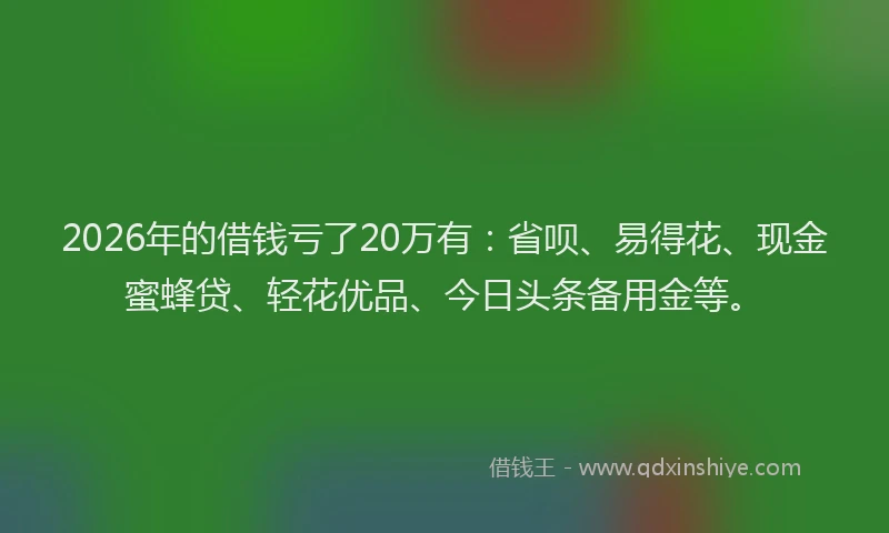2026年的借钱亏了20万有：省呗、易得花、现金蜜蜂贷、轻花优品、今日头条备用金等。