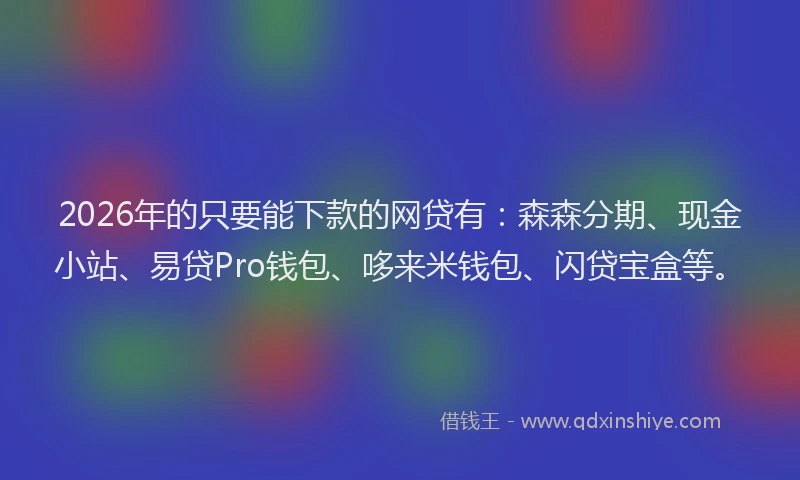 2026年的只要能下款的网贷有：森森分期、现金小站、易贷Pro钱包、哆来米钱包、闪贷宝盒等。