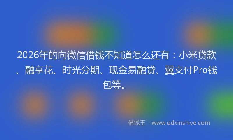 2026年的向微信借钱不知道怎么还有：小米贷款、融享花、时光分期、现金易融贷、翼支付Pro钱包等。