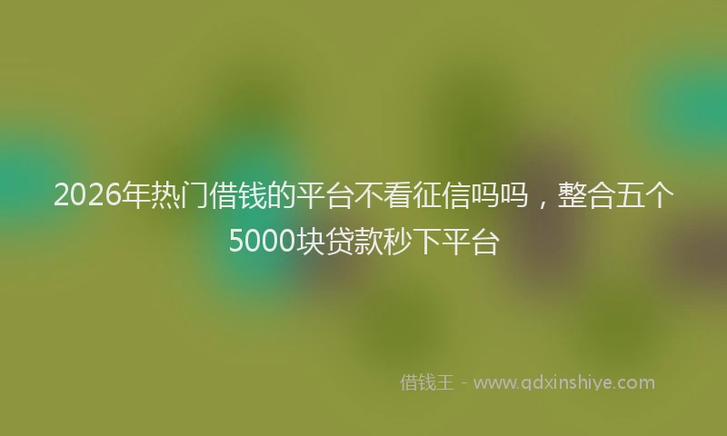 2026年热门借钱的平台不看征信吗吗，整合五个5000块贷款秒下平台