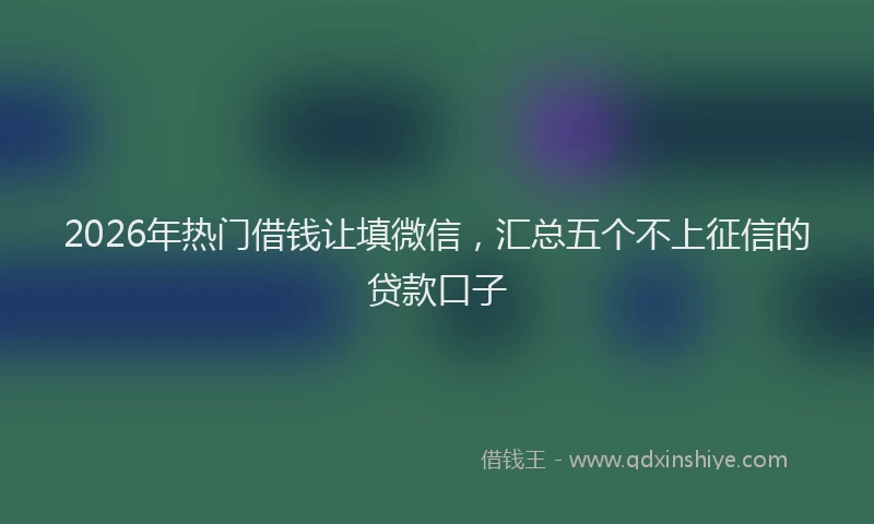 2026年热门借钱让填微信，汇总五个不上征信的贷款口子