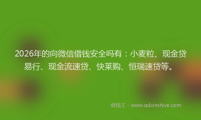 2026年的向微信借钱安全吗有：小麦粒、现金贷易行、现金流速贷、快莱购、恒瑞速贷等。