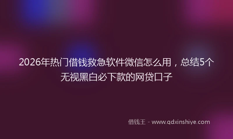 2026年热门借钱救急软件微信怎么用，总结5个无视黑白必下款的网贷口子