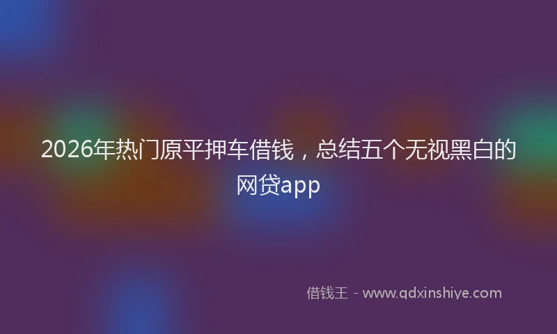 2026年热门原平押车借钱，总结五个无视黑白的网贷app