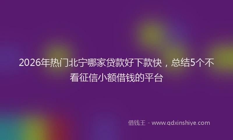 2026年热门北宁哪家贷款好下款快，总结5个不看征信小额借钱的平台