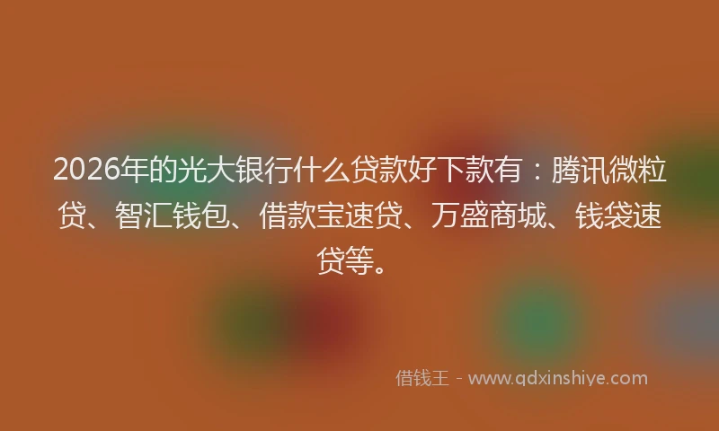 2026年的光大银行什么贷款好下款有：腾讯微粒贷、智汇钱包、借款宝速贷、万盛商城、钱袋速贷等。