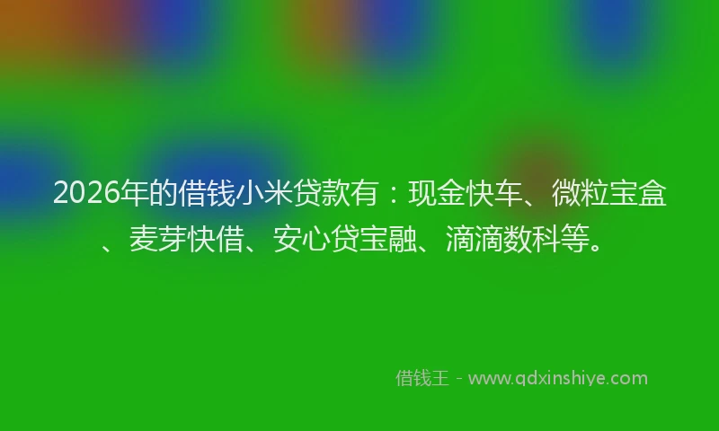 2026年的借钱小米贷款有：现金快车、微粒宝盒、麦芽快借、安心贷宝融、滴滴数科等。