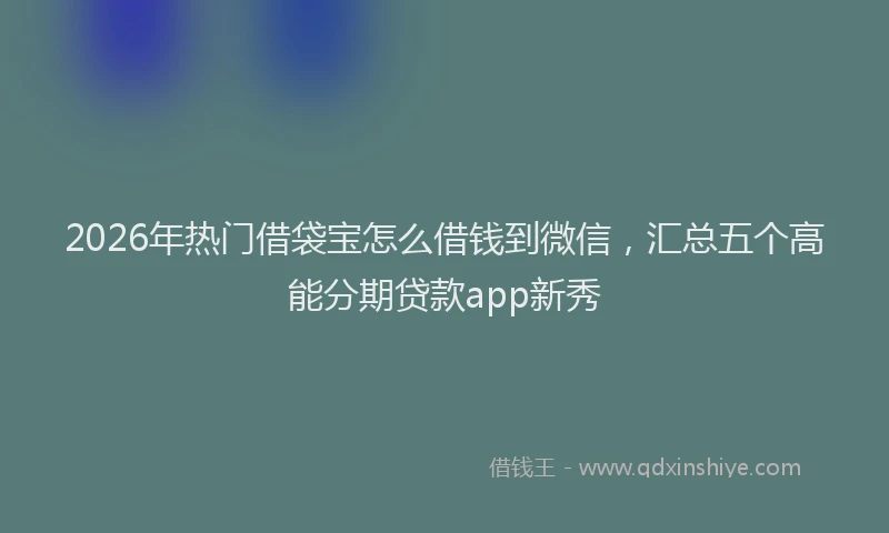 2026年热门借袋宝怎么借钱到微信，汇总五个高能分期贷款app新秀