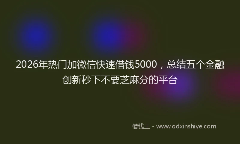2026年热门加微信快速借钱5000，总结五个金融创新秒下不要芝麻分的平台