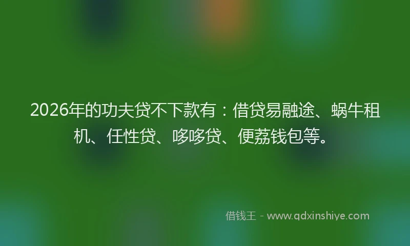 2026年的功夫贷不下款有：借贷易融途、蜗牛租机、任性贷、哆哆贷、便荔钱包等。