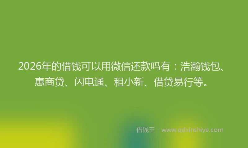 2026年的借钱可以用微信还款吗有：浩瀚钱包、惠商贷、闪电通、租小新、借贷易行等。