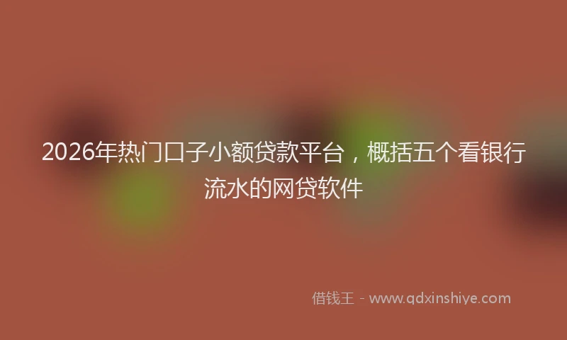 2026年热门口子小额贷款平台，概括五个看银行流水的网贷软件
