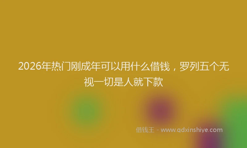 2026年热门刚成年可以用什么借钱，罗列五个无视一切是人就下款