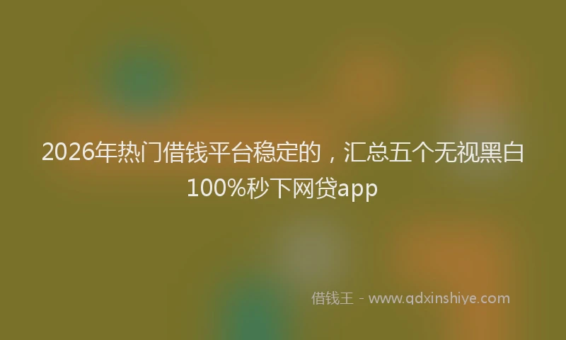 2026年热门借钱平台稳定的，汇总五个无视黑白100%秒下网贷app