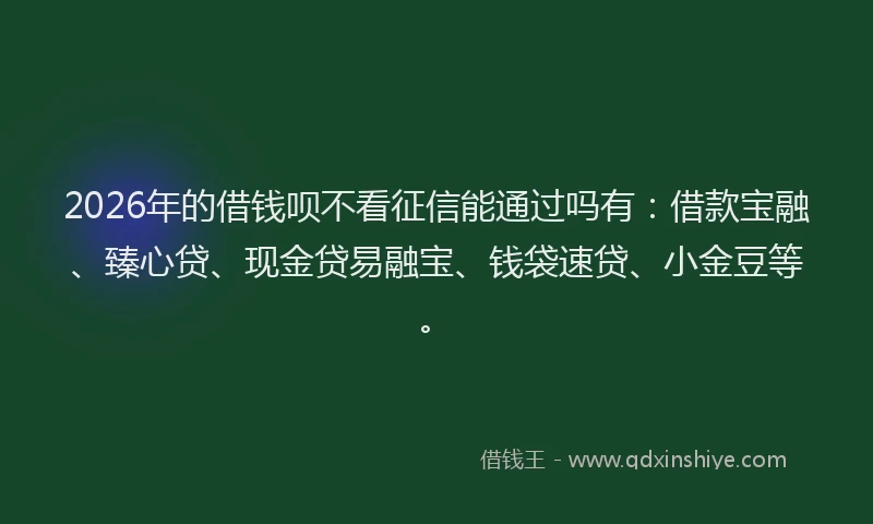 2026年的借钱呗不看征信能通过吗有：借款宝融、臻心贷、现金贷易融宝、钱袋速贷、小金豆等。