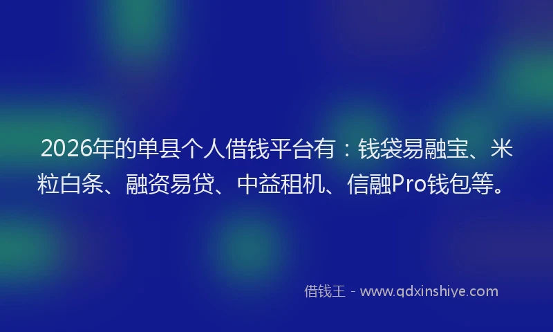 2026年的单县个人借钱平台有：钱袋易融宝、米粒白条、融资易贷、中益租机、信融Pro钱包等。