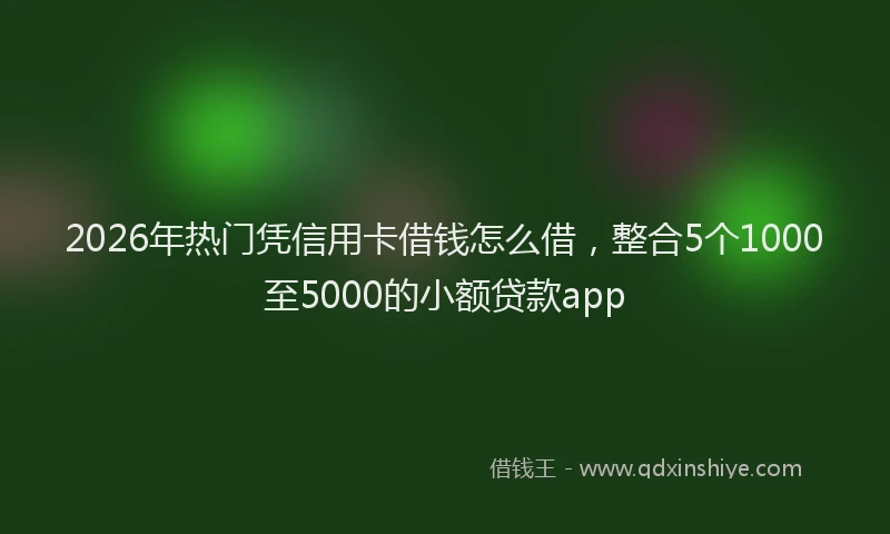 2026年热门凭信用卡借钱怎么借，整合5个1000至5000的小额贷款app