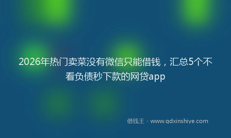 2026年热门卖菜没有微信只能借钱，汇总5个不看负债秒下款的网贷app