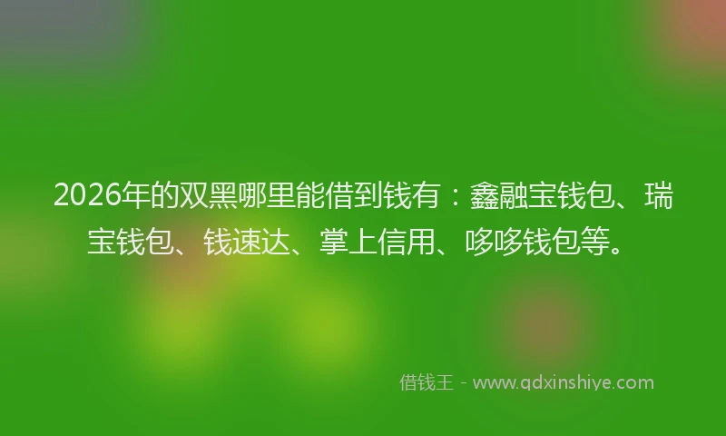 2026年的双黑哪里能借到钱有：鑫融宝钱包、瑞宝钱包、钱速达、掌上信用、哆哆钱包等。