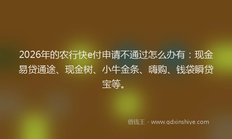 2026年的农行快e付申请不通过怎么办有：现金易贷通途、现金树、小牛金条、嗨购、钱袋瞬贷宝等。
