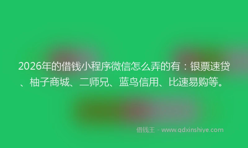2026年的借钱小程序微信怎么弄的有：银票速贷、柚子商城、二师兄、蓝鸟信用、比速易购等。