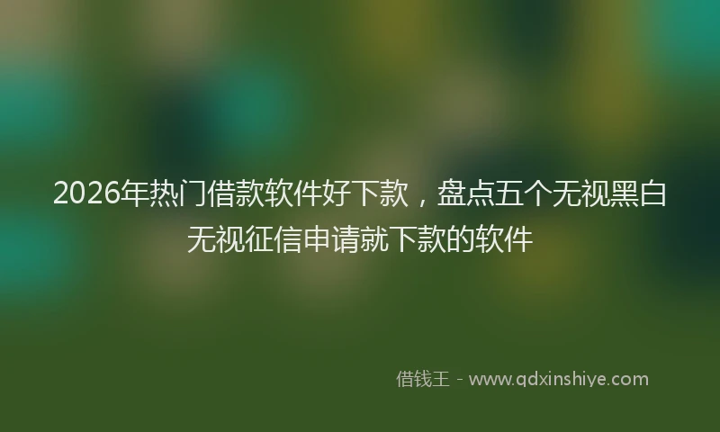 2026年热门借款软件好下款，盘点五个无视黑白无视征信申请就下款的软件