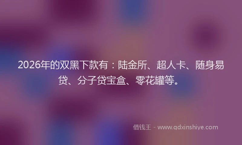 2026年的双黑下款有：陆金所、超人卡、随身易贷、分子贷宝盒、零花罐等。