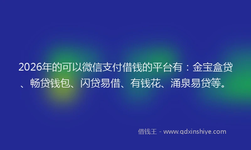 2026年的可以微信支付借钱的平台有：金宝盒贷、畅贷钱包、闪贷易借、有钱花、涌泉易贷等。