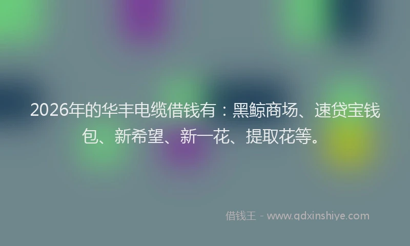 2026年的华丰电缆借钱有：黑鲸商场、速贷宝钱包、新希望、新一花、提取花等。