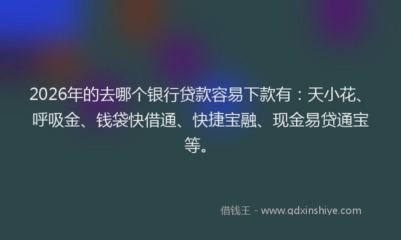 2026年的去哪个银行贷款容易下款有：天小花、呼吸金、钱袋快借通、快捷宝融、现金易贷通宝等。