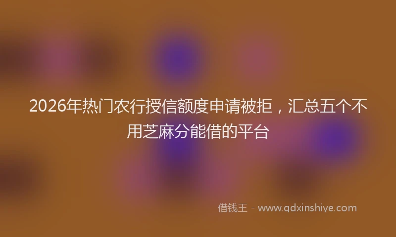 2026年热门农行授信额度申请被拒，汇总五个不用芝麻分能借的平台