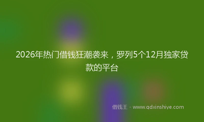 2026年热门借钱狂潮袭来，罗列5个12月独家贷款的平台
