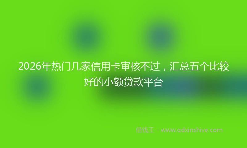 2026年热门几家信用卡审核不过，汇总五个比较好的小额贷款平台