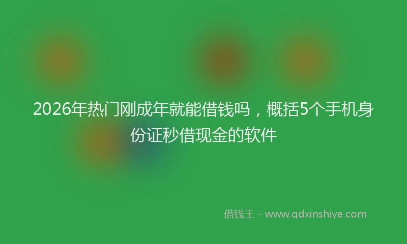 2026年热门刚成年就能借钱吗，概括5个手机身份证秒借现金的软件