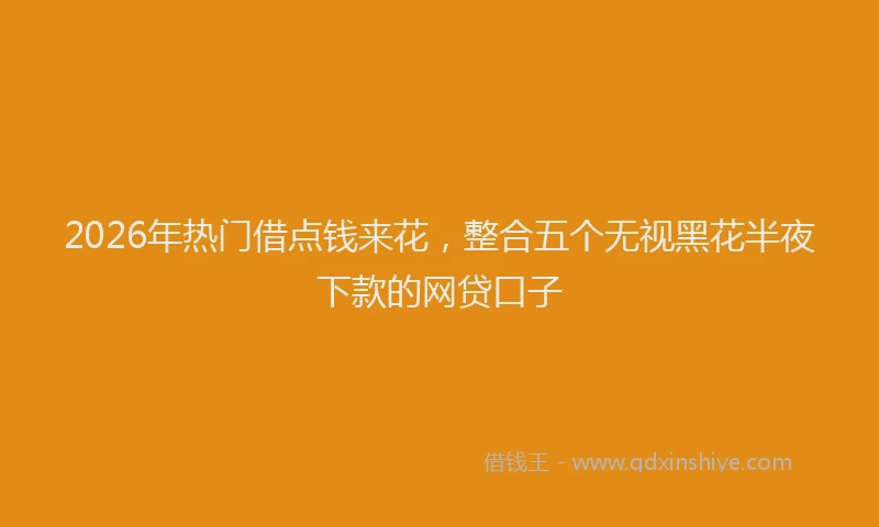 2026年热门借点钱来花，整合五个无视黑花半夜下款的网贷口子