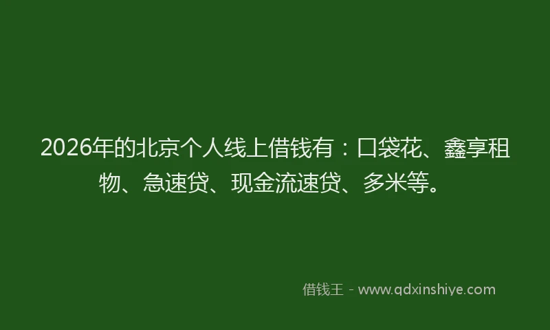 2026年的北京个人线上借钱有：口袋花、鑫享租物、急速贷、现金流速贷、多米等。