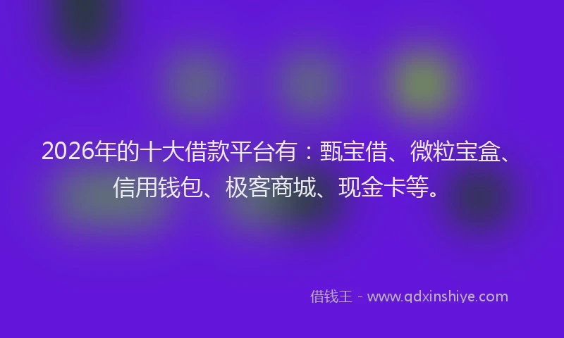 2026年的十大借款平台有：甄宝借、微粒宝盒、信用钱包、极客商城、现金卡等。