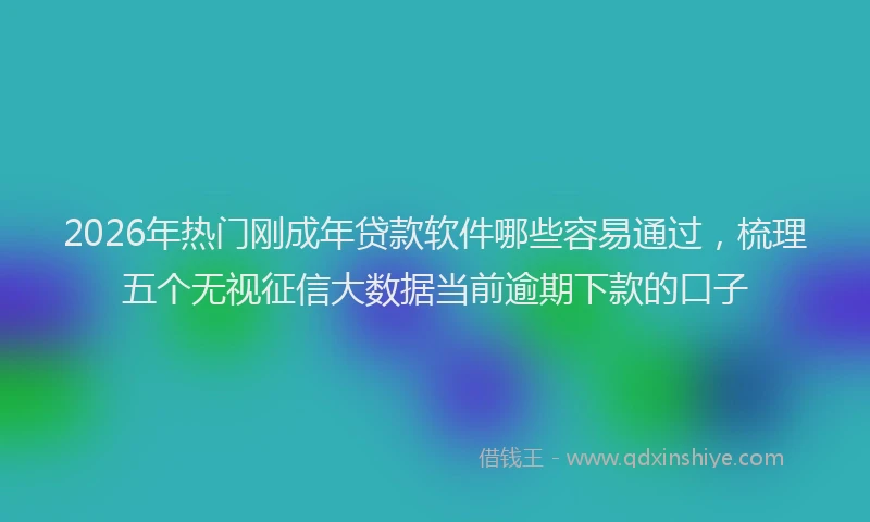 2026年热门刚成年贷款软件哪些容易通过，梳理五个无视征信大数据当前逾期下款的口子