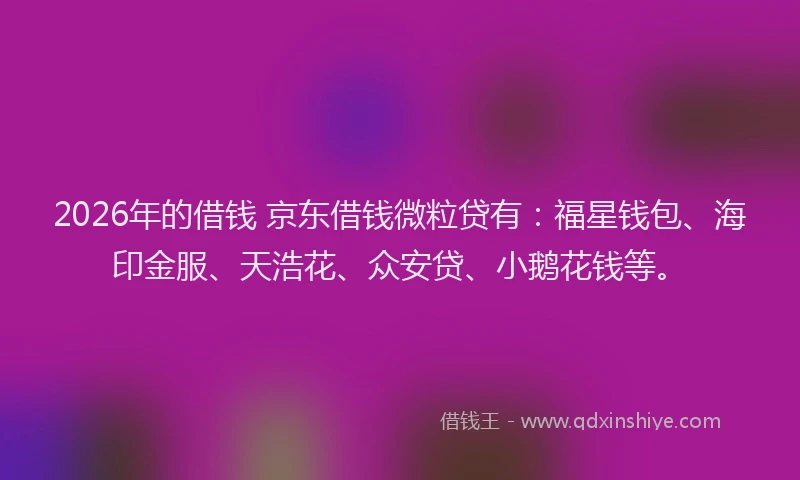 2026年的借钱 京东借钱微粒贷有：福星钱包、海印金服、天浩花、众安贷、小鹅花钱等。