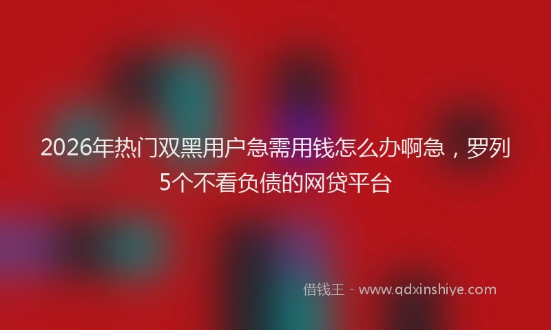 2026年热门双黑用户急需用钱怎么办啊急，罗列5个不看负债的网贷平台